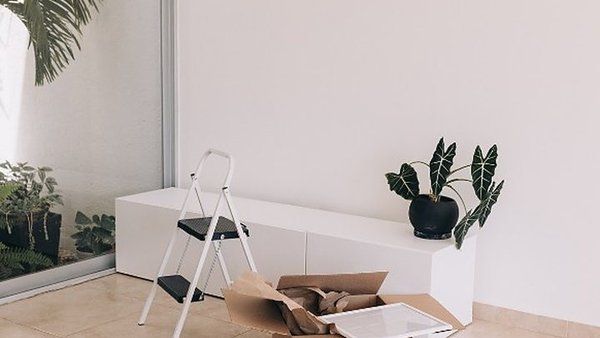 Habitación vacía con una escalera y una planta tras desmontar los muebles